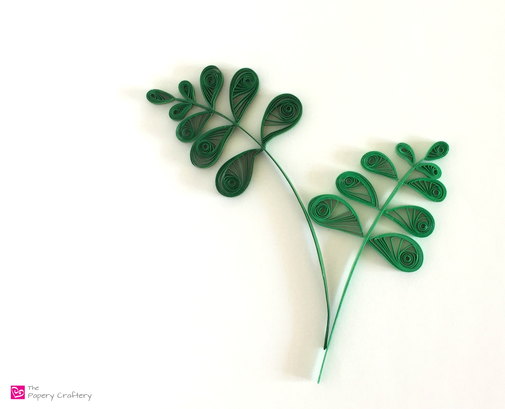 5 Types of Quilling Paper Greenery The Papery Craftery